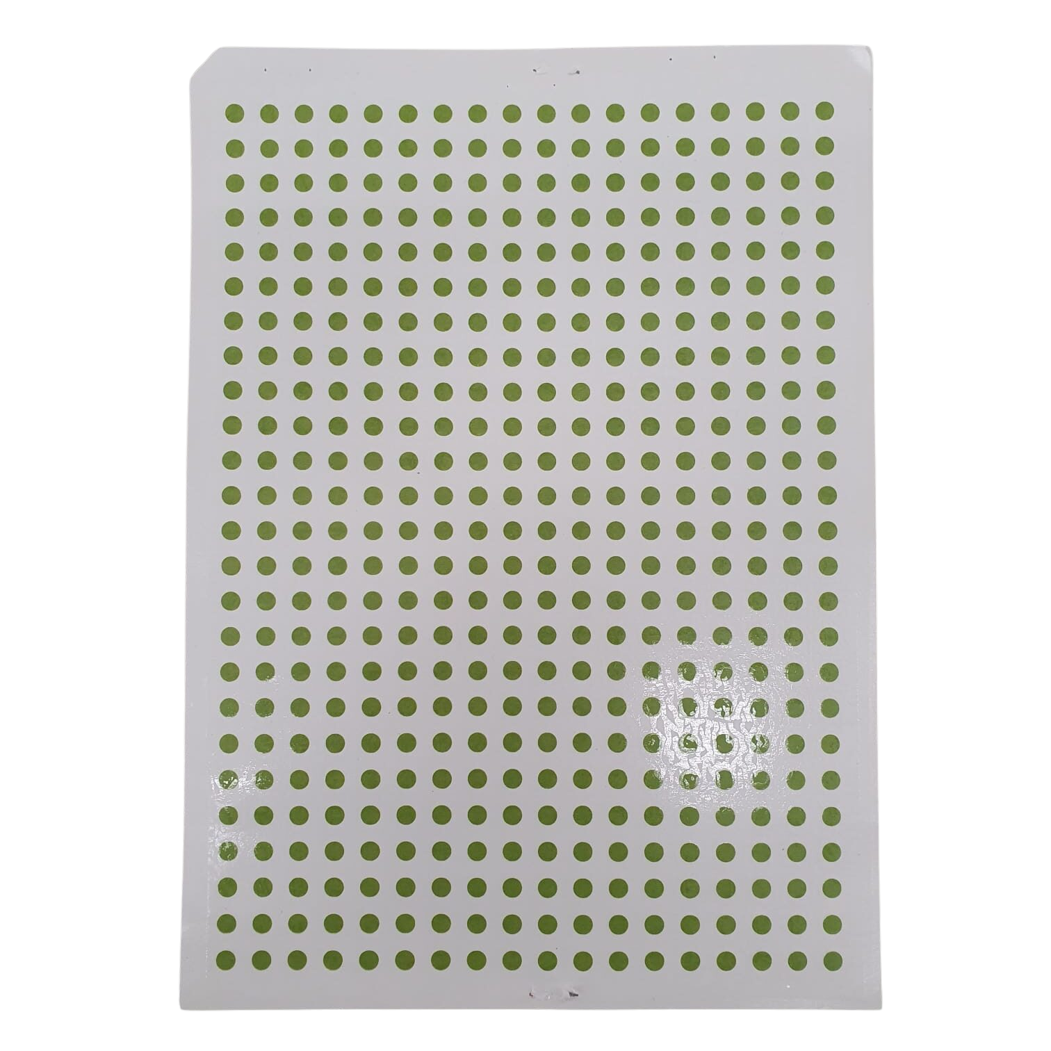 e5aa17a54e18f694d1211155d35d7ed6-rotated34265_nobg Decalque Bola P Verde - Imagem 1