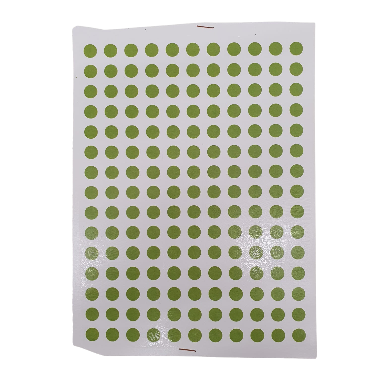 f403ecedbd3854893d8ae7650b40acc249977_nobg Decalque Bola M Verde Claro - Imagem 1