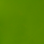 Tinta Triarte - Verde Limão