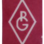 Tinta RG Purple 7097