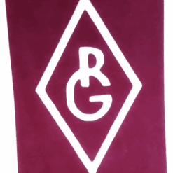 Tinta RG Purple 240