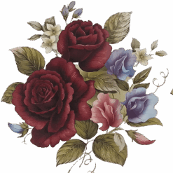 Decalque Alexandra 180mm - Modelo 4