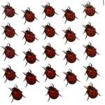 Decalque para Vidro Joaninhas 25mm c/23