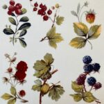 Decalque Frutinhas Silvestres 45mm c/6