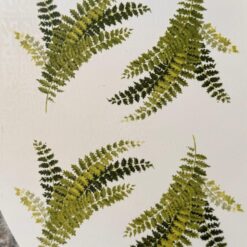 Decalque Samambaia 80mm c/ 4