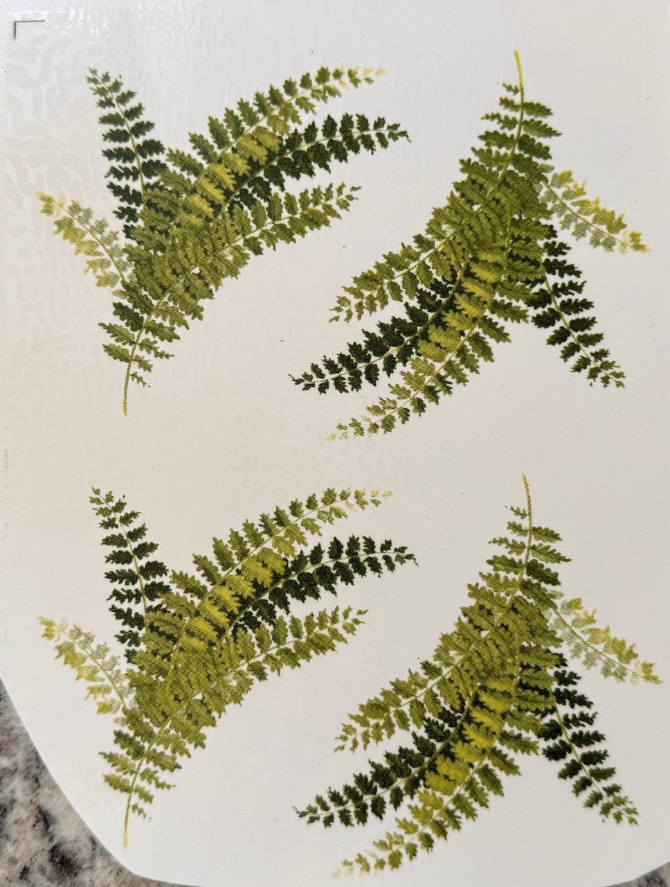 9533c95bb0ca6a48bf223746481f6ca5.jpeg Decalque Samambaia 80mm c/ 4 - Imagem 1