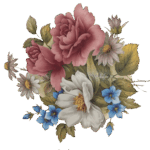 Decalque Alexandra 180mm - Modelo 1