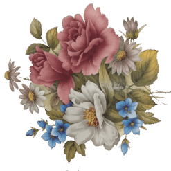 Decalque Alexandra 180mm - Modelo 1