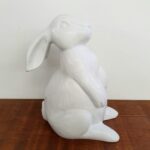 Coelho Johny - Imagem 2