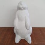 Coelho Johny - Imagem 4