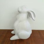 Coelho Johny - Imagem 3