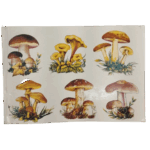 Cogumelos 105mm - Cartela com 6