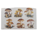Decalque Cogumelos 75mm