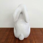 Coelho Johny - Imagem 5