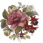 Alexandra 150mm Modelo 4