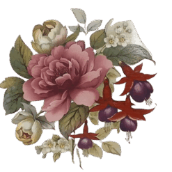 Alexandra 150mm Modelo 4