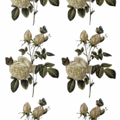 Rosas Brancas 75mm - Cartela com 6