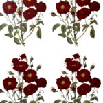 Decalque Moulin Rouge 100mm - Cartela com 4