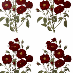 Decalque Moulin Rouge 100mm - Cartela com 4