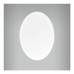 Plaquinha Oval Sem Furo 5,5cm