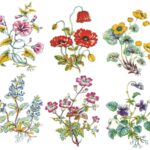 Decalque Botanicals 120mm c/ 6