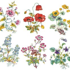 Decalque Botanicals 120mm c/ 6