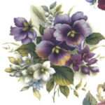 Decalque Alexandra 150mm - Modelo 1