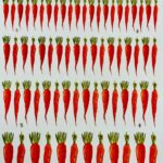 Decalque Cenouras - Folha A4