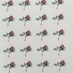 Decalque Botão de Rosa 16mm c/ 24