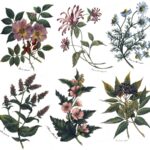 Decalque Aroma de Flor 110mm - Cartela com 6