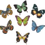 Borboletas de Inverno 30mm Cartela com 7
