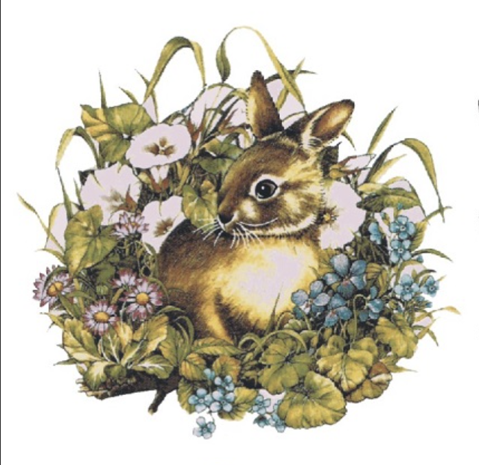 ddde5d7302252836041447021324664f.png Decalque Coelho 110mm (unidade) - Imagem 1