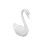 Cisne Olhando para Baixo