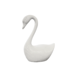 Cisne Olhando para Baixo - Imagem 2