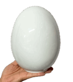 Ovo Paske M - Imagem 3