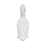 Pato de Porcelana II - Imagem 3