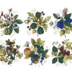 Frutas e Folhas 70mm c/6