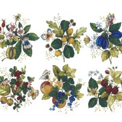 Frutas e Folhas 70mm c/6