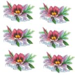 Decalque Orquídeas Selvagens 50mm - Cartela com 10