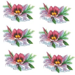 Decalque Orquídeas Selvagens 50mm - Cartela com 10