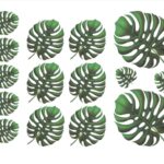 Decalque Costela de Adão A4