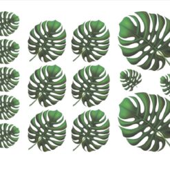 Decalque Costela de Adão A4