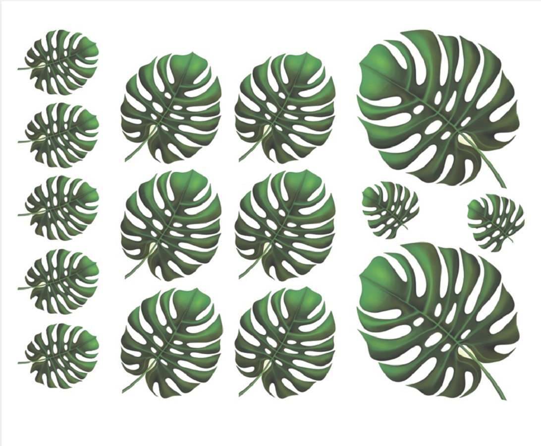 3788b55518f0c0cc16fd14b9ed62124f.jpg Decalque Costela de Adão A4 - Imagem 1