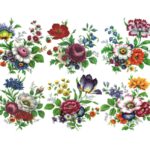 Decalque Flores de Jardim 55mm - Cartela com 6