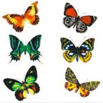 Decalque Borboletas Multicores 25mm - Cartela com 18