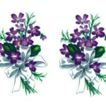 Decalque Violetas 70mm - cartela com 6