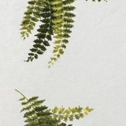 Decalque samambaia 40mm c/6