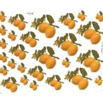 Decalque Limão Siciliano