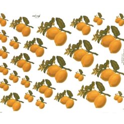 Decalque Limão Siciliano