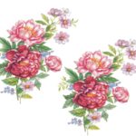 Peonies 75mm Cartela com 6